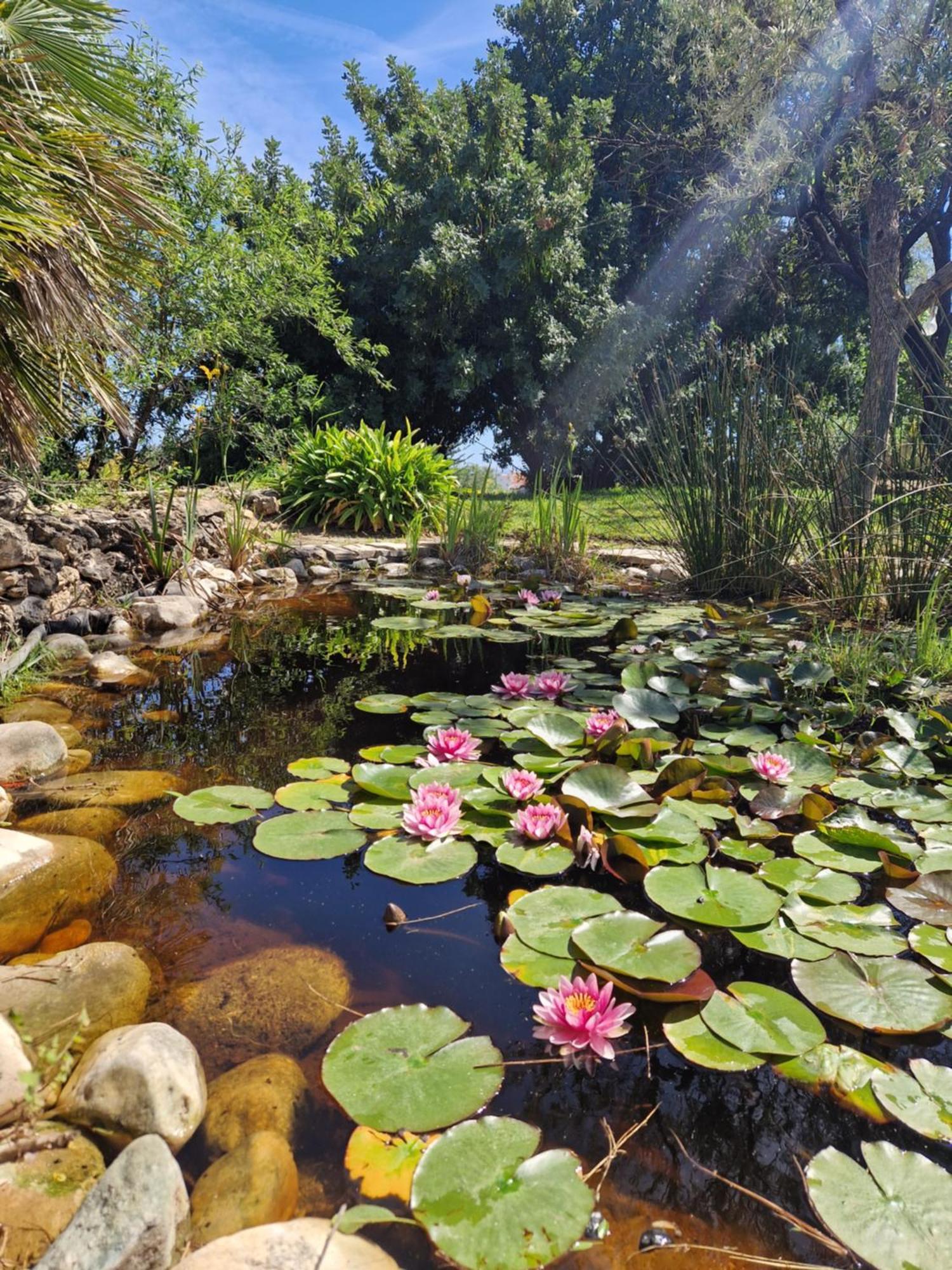 Cortijo Nerja Artist Paradise Exterior photo